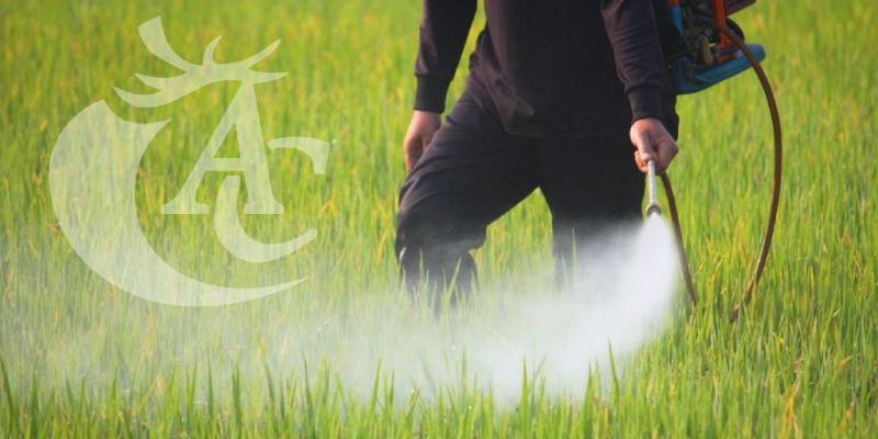 Cómo elegir el fertilizante adecuado