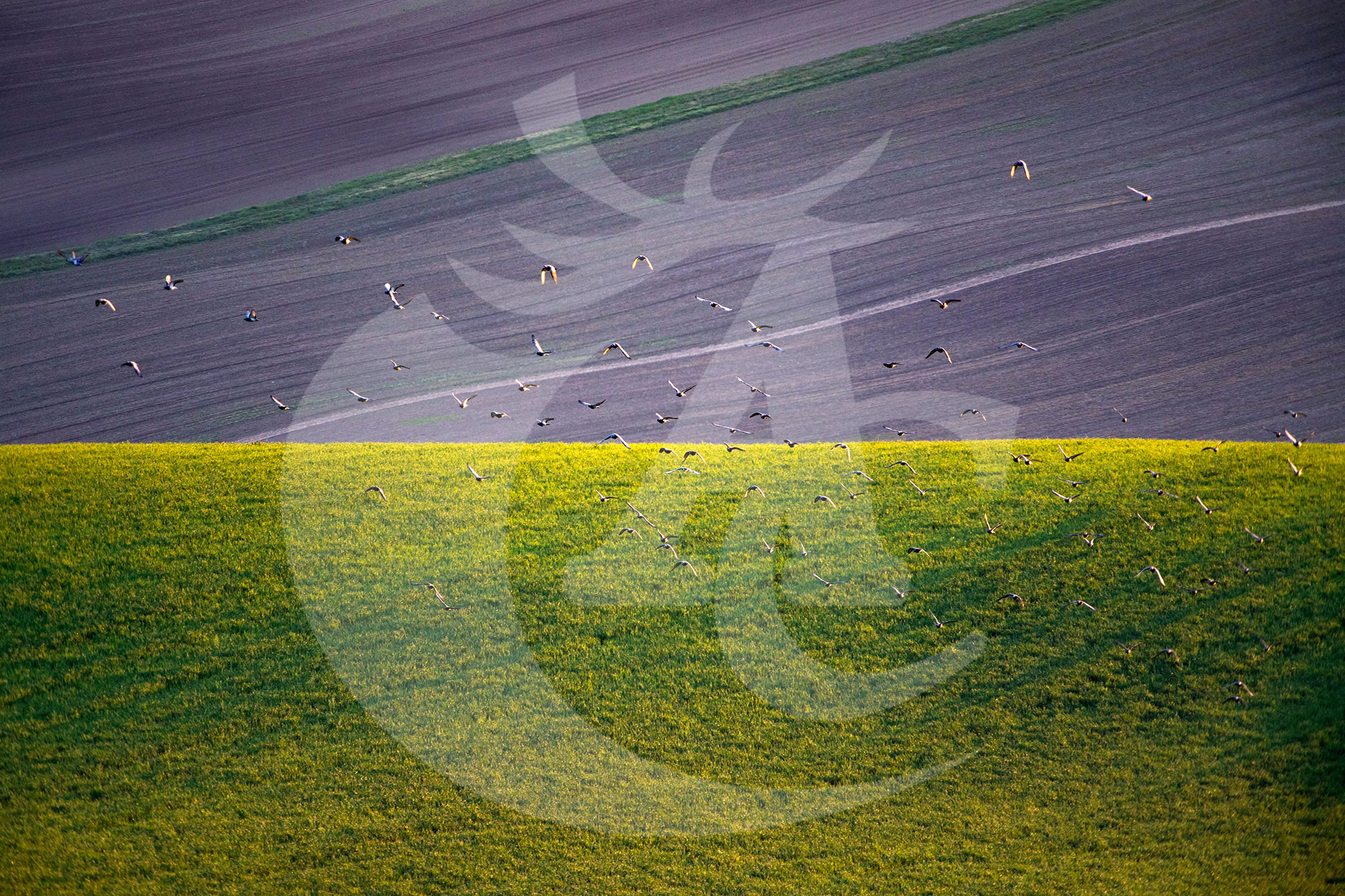 Agroquímicos Cerezo - Instalaciones