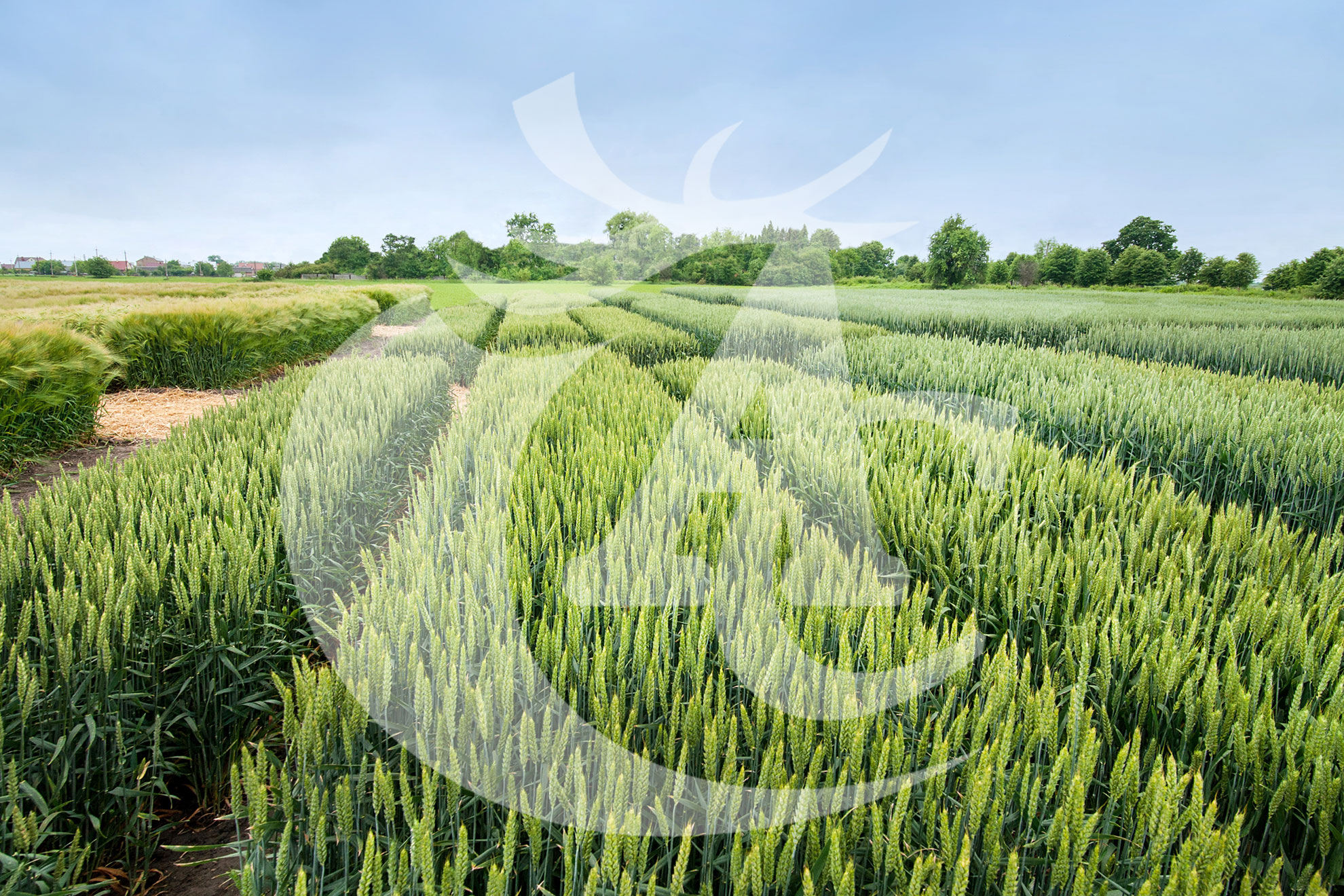 Agroquímicos Cerezo - Almacén