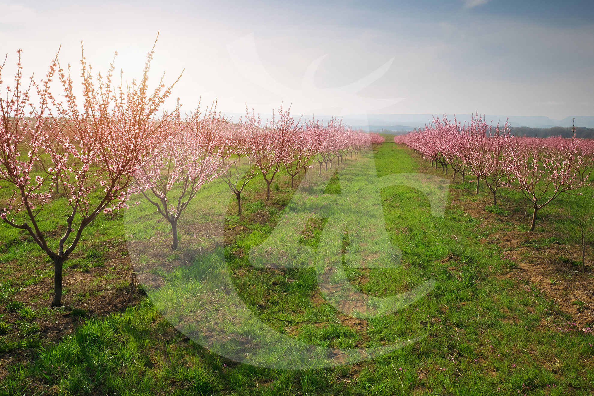 Agroquímicos Cerezo