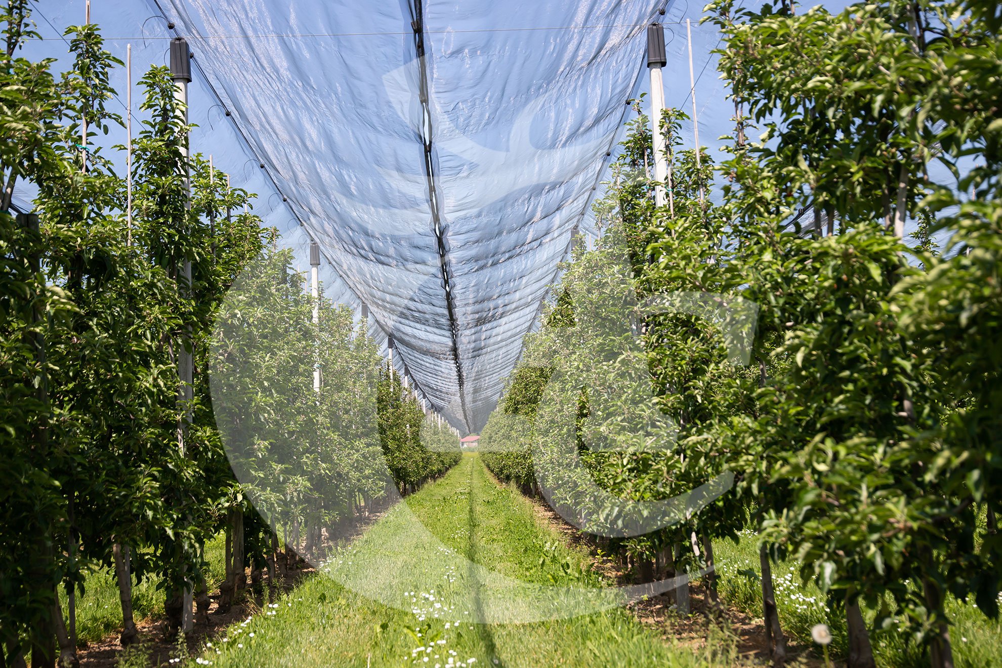 Agroquímicos Cerezo