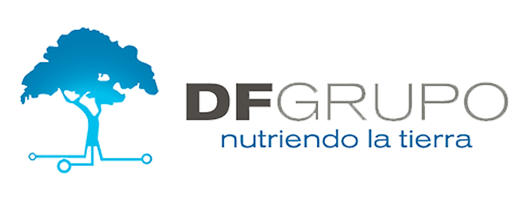 DF Grupo