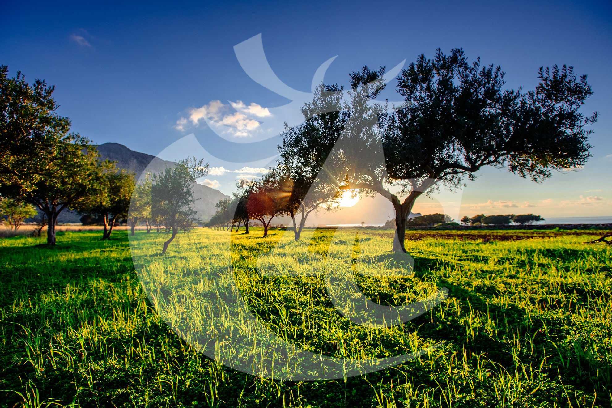 Productos fitosanitarios de calidad en Talavera la Real